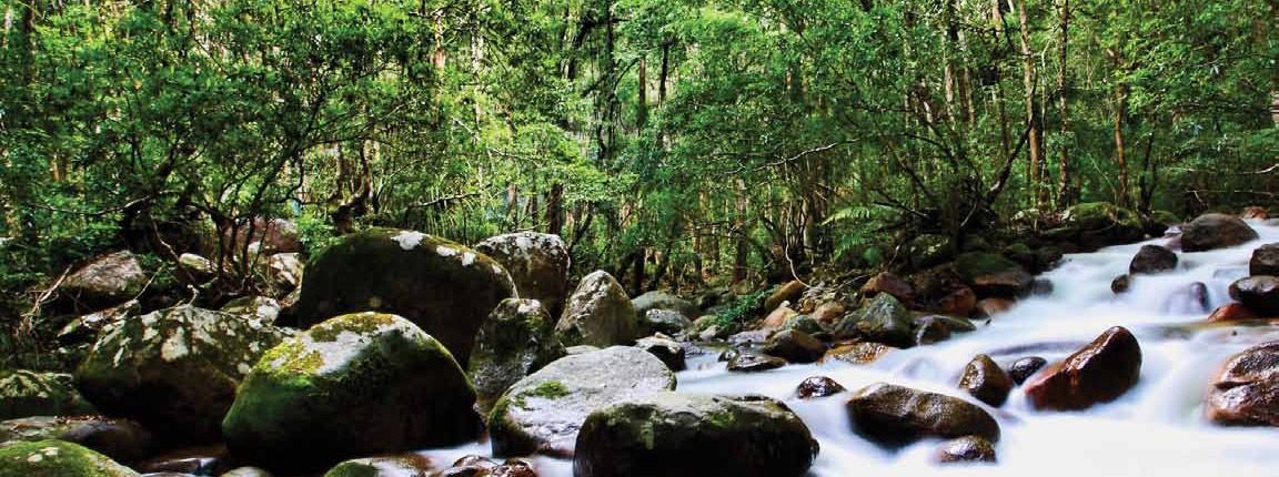Biodiversity Planning in Asia