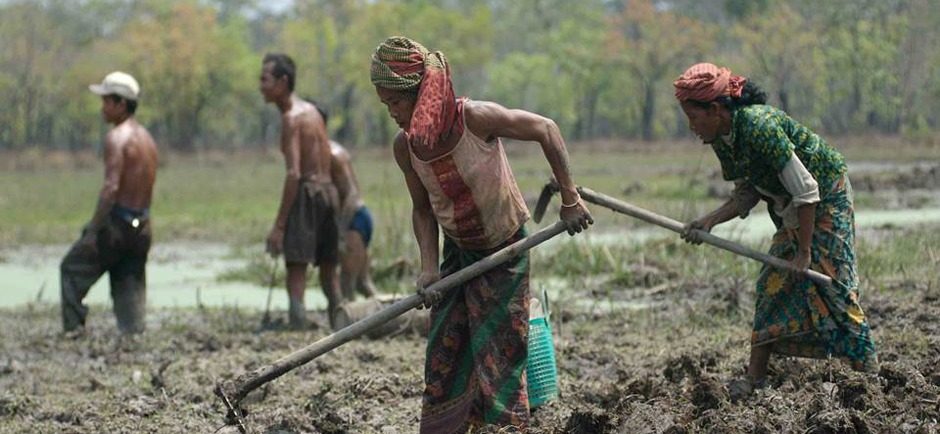 Maintaining Community Livestock Systems in the Face of Climate Change