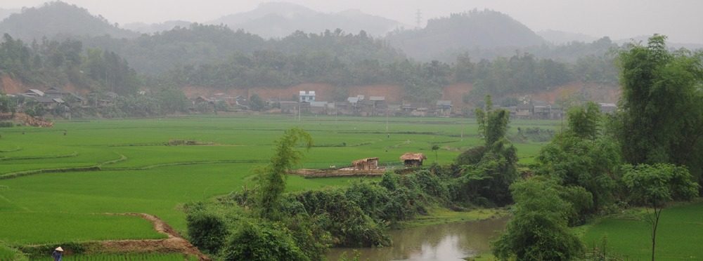 Tropical storms demonstrate the need for bioengineered solutions to climate change impacts in rural Vietnam