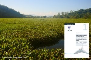 Climate change assessment for wetland biodiversity guideline