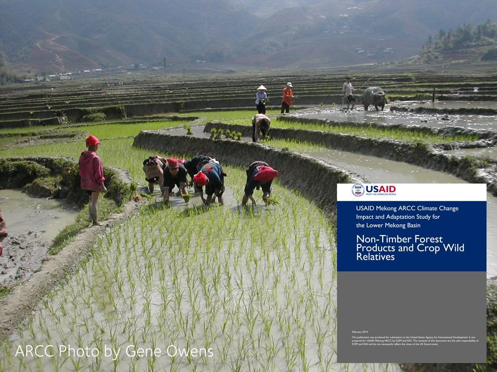 Mekong ARCC Climate Change Impact and Adaptation Study: Non Timber Forest Products and Crop Wild Relatives Report