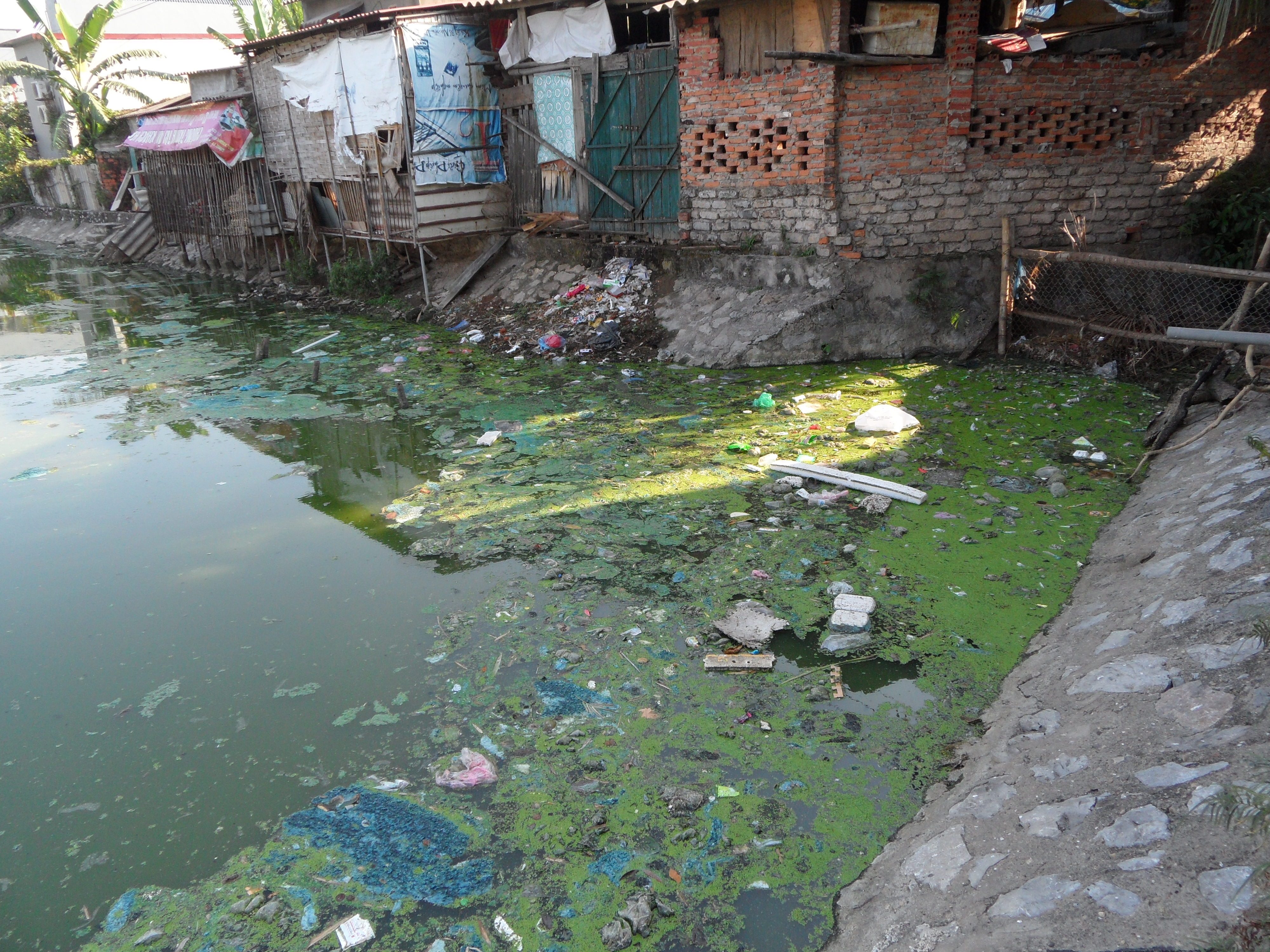 Waste accumulated at one corner of Nha Dau drainage lake in Bac Giang, Vietnam