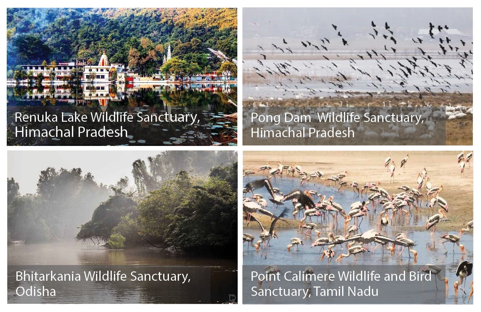 GIZ project – Ramsar pilot sites