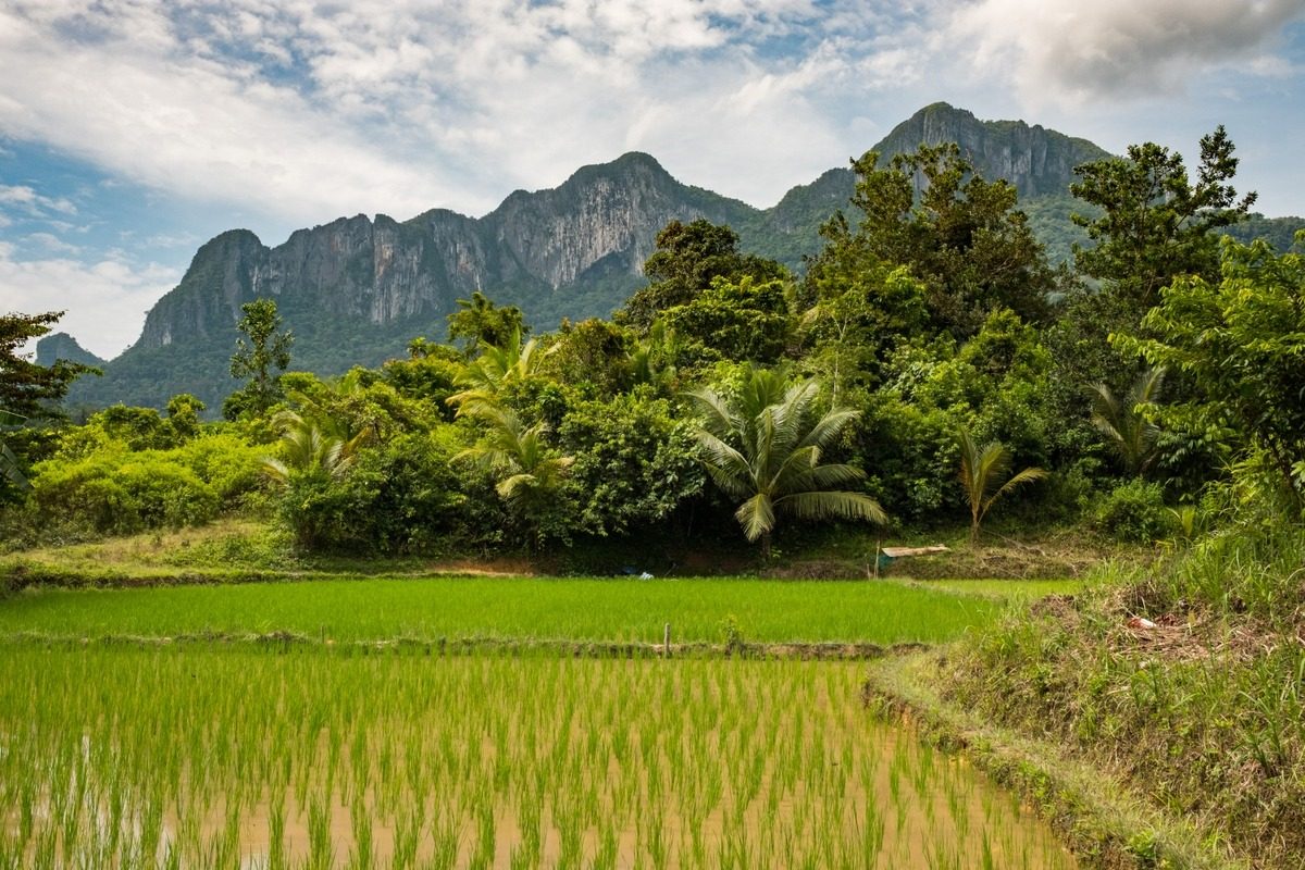 Accelerating Climate Resilience in Agriculture, Natural Resources and the Environment