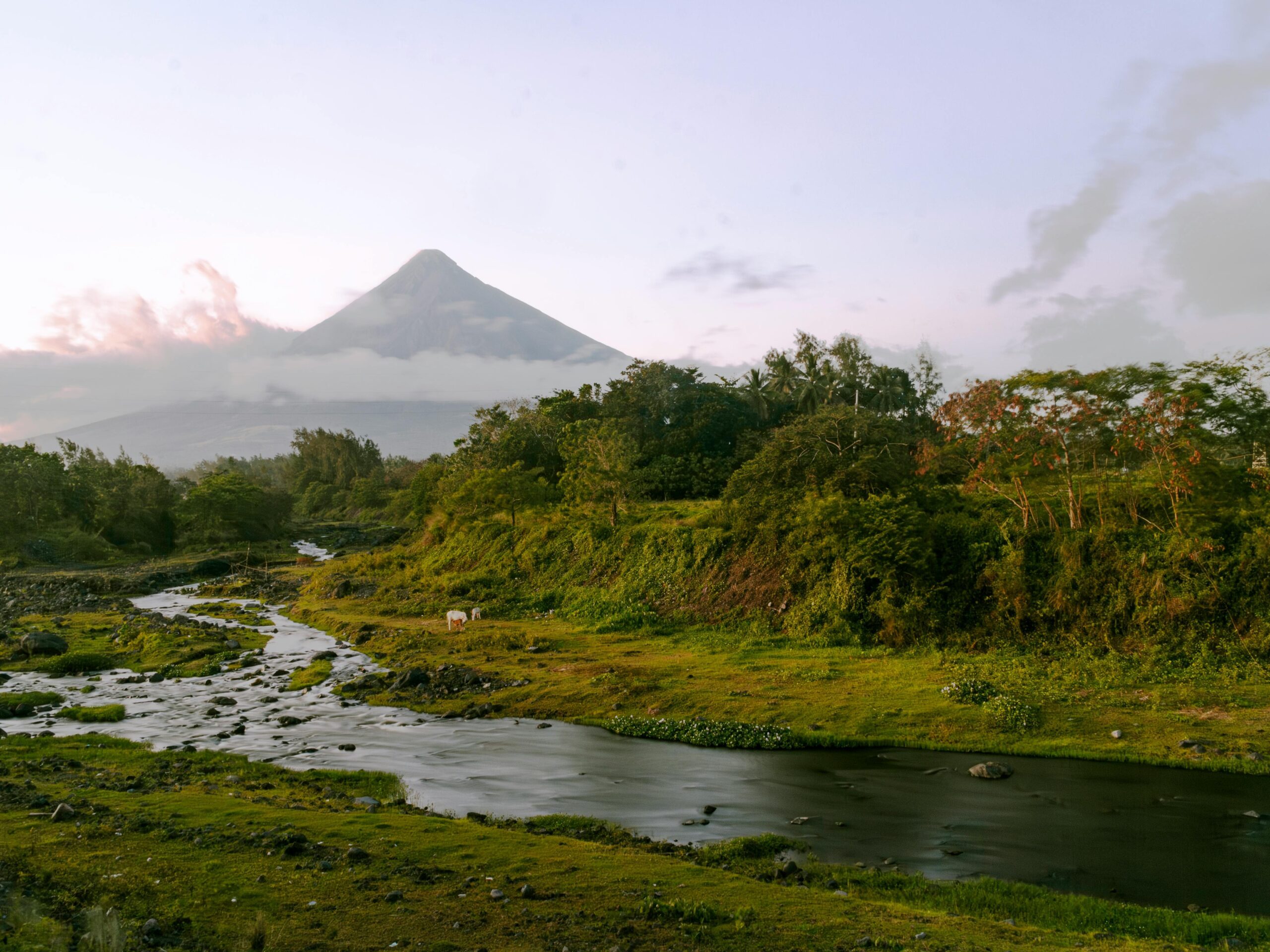 Making the Case for Nature-Based Solutions and Green-Grey Integration across Four Priority River Basins